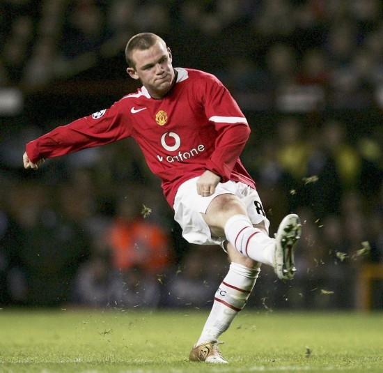 人与自然的 人与自然的